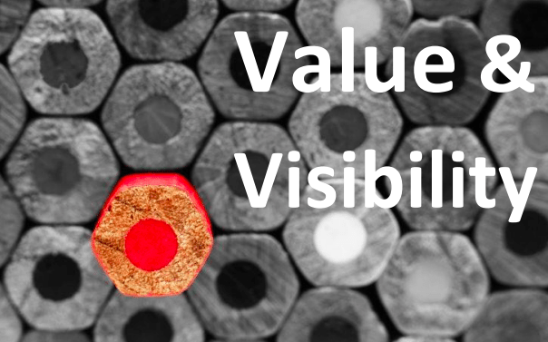Value and Visibility