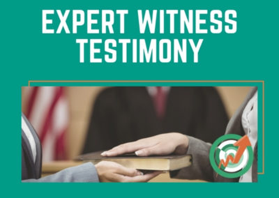 Expert Witness Testimony – 11.3.2021